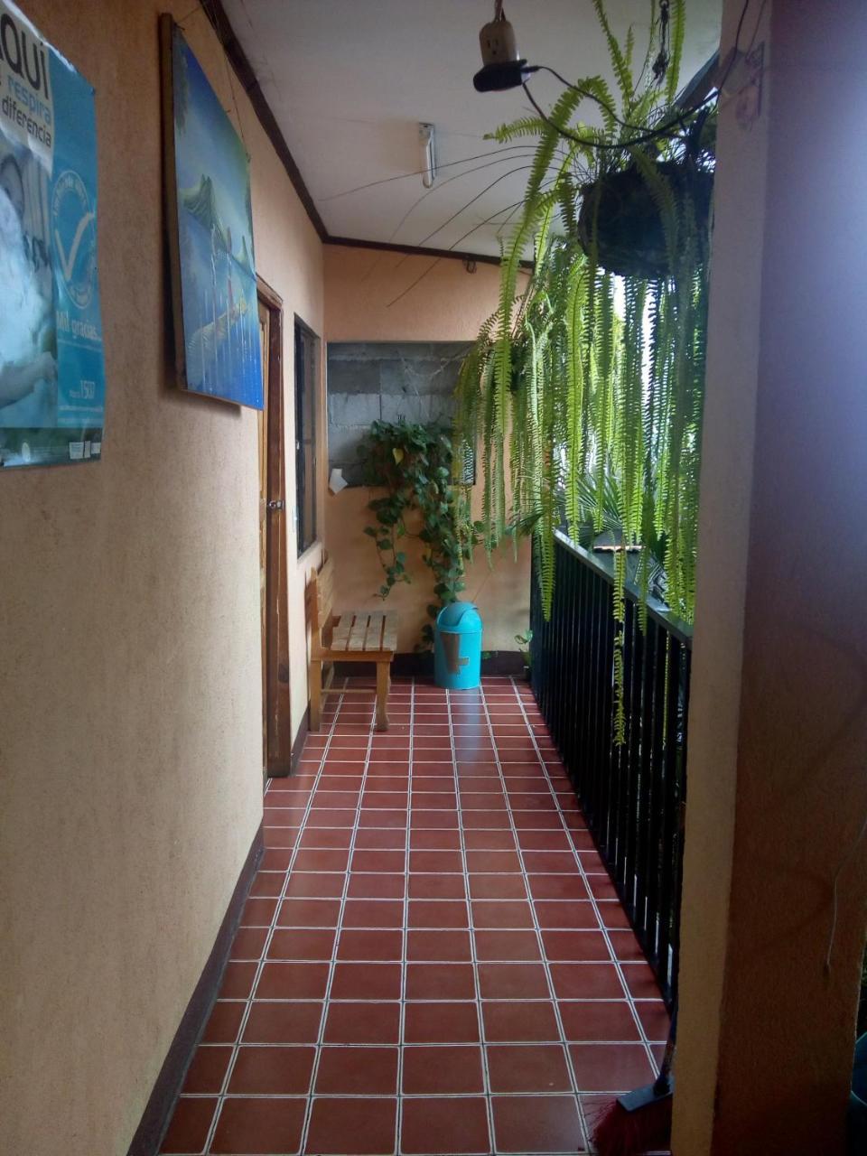 Hospedaje Eli Panajachel Exteriér fotografie